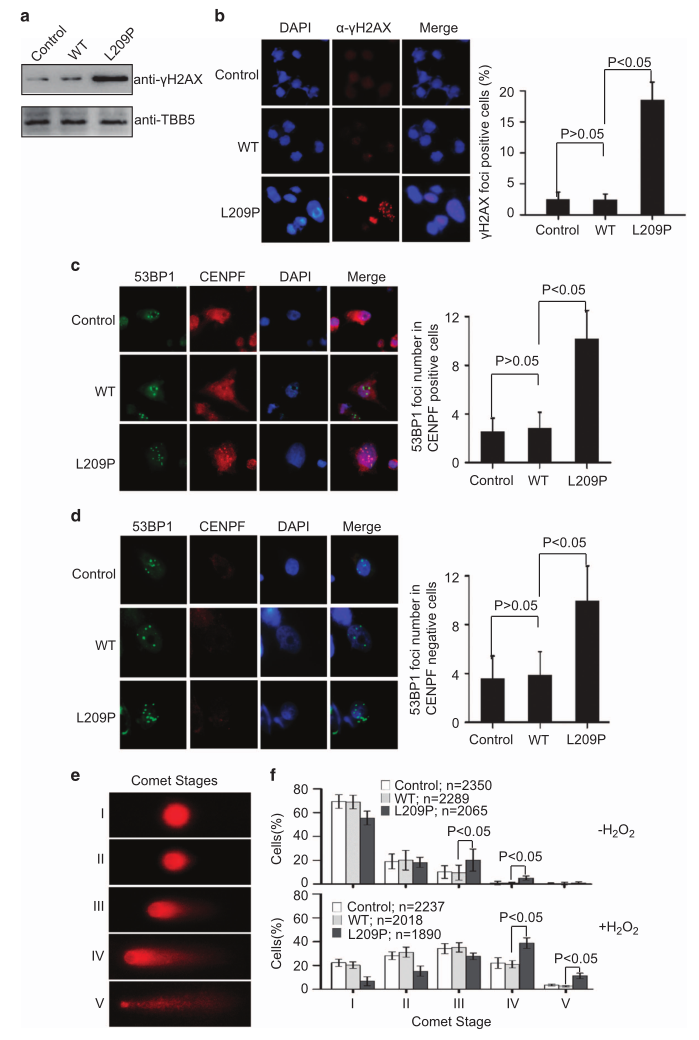 1633769033284471.png 7.png