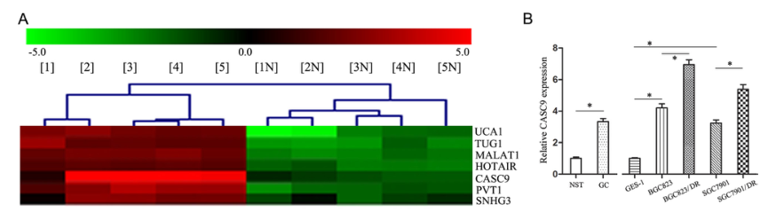 載體構(gòu)建實驗-客戶文獻-輝駿生物.png 載體構(gòu)建實驗-客戶文獻-輝駿生物.png