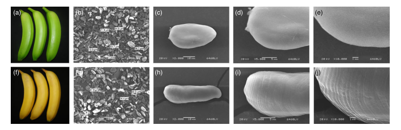 iTRAQ蛋白質(zhì)組學(xué)分析、itraq實驗服務(wù)、iTRAQ技術(shù)