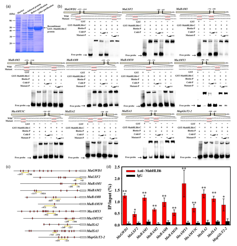iTRAQ蛋白質(zhì)組學(xué)分析、itraq實驗服務(wù)、iTRAQ技術(shù)