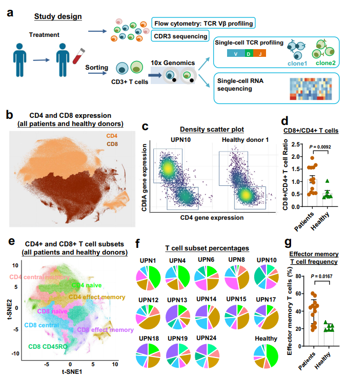 T-LGLL 患者的 AT 細胞景觀。