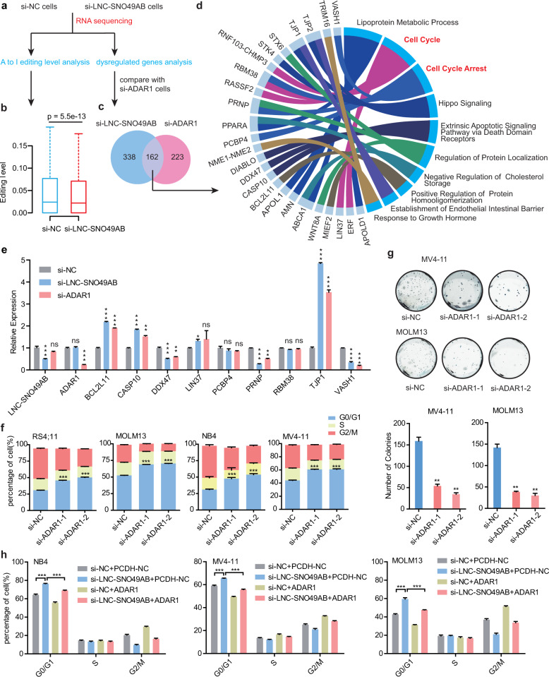 質(zhì)譜檢測(cè)原理-質(zhì)譜鑒定蛋白-輝駿生物