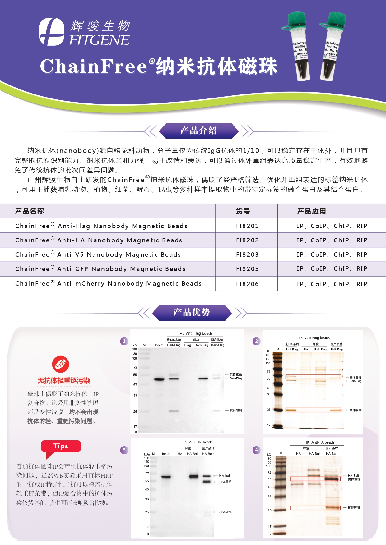 輝駿生物ChainFree?標簽納米抗體磁珠(Flag、HA、V5、GFP、mCherry)-無輕重鏈污染-親和力強